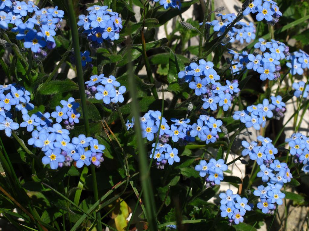 ホテル Rifugio Pranolz Trichiana エクステリア 写真