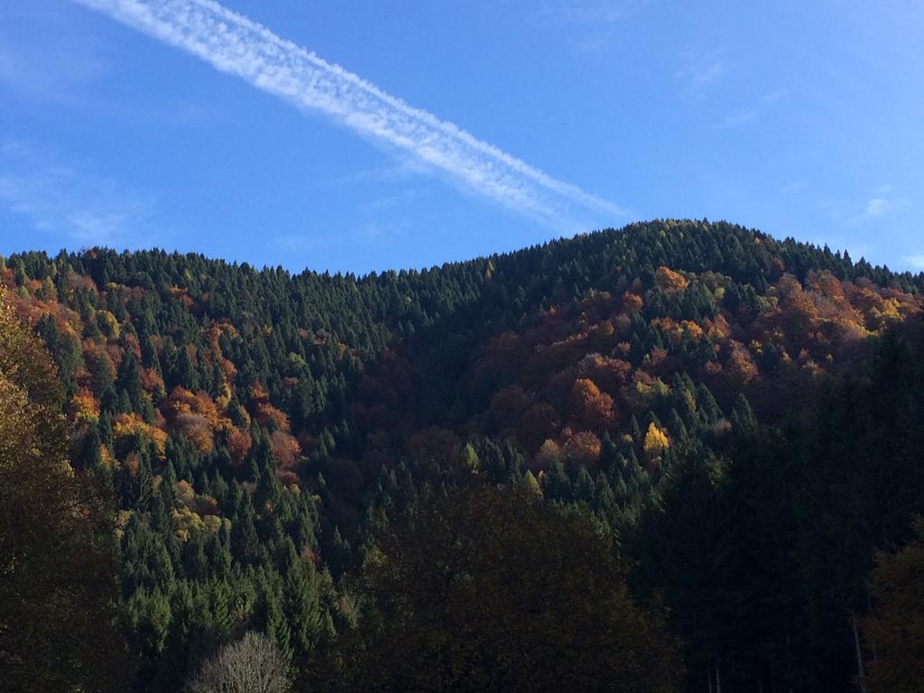 ホテル Rifugio Pranolz Trichiana エクステリア 写真